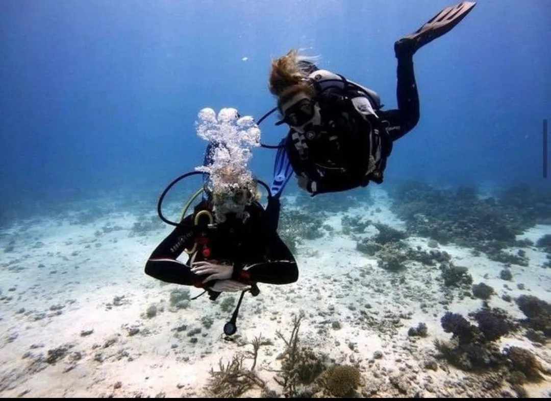 🌊🤿 Discover Scuba Diving Experience – El Gouna 🐠 Scuba Diving El Gouna /Screenshot_٢٠٢٦٠٧٠٢_١٨٤٦٢٨_ChatGPT.jpg